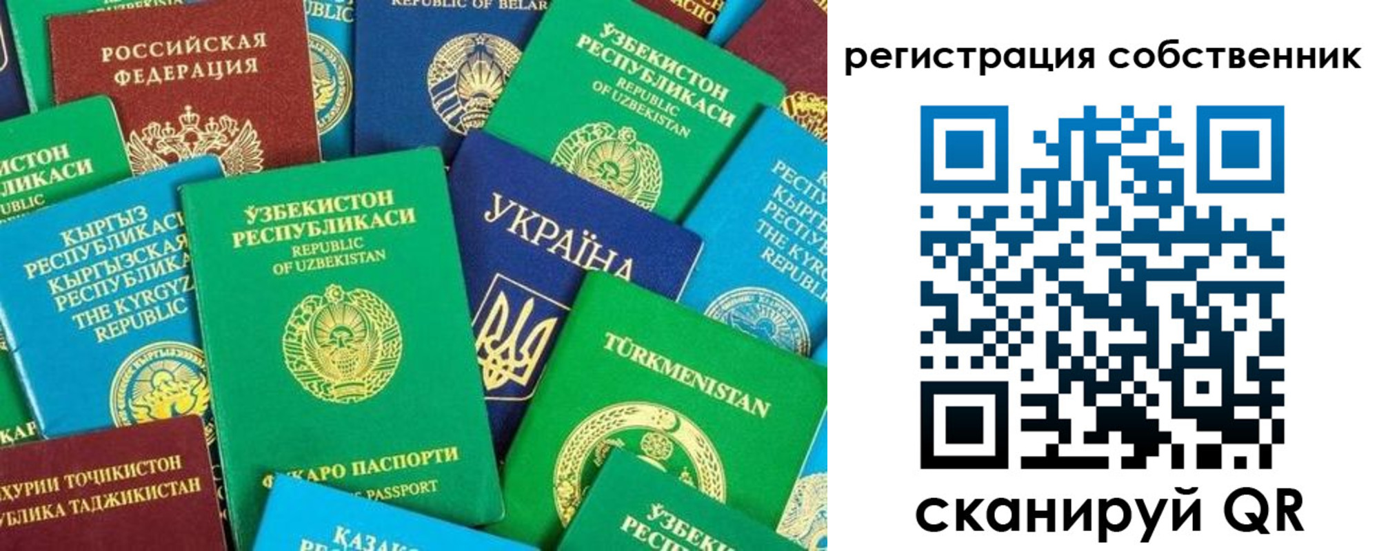 прописка в Курской области