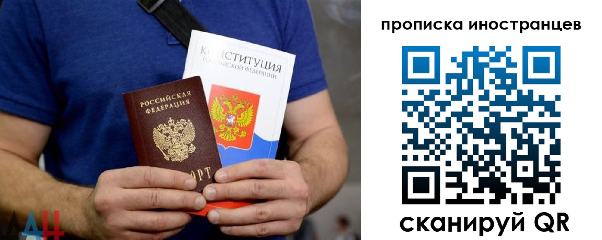 прописка для школы в Курской области