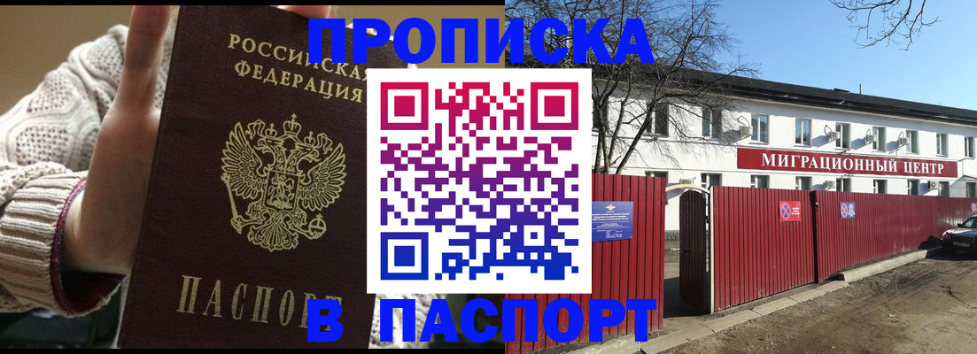 временная регистрация поиск в Курской области
